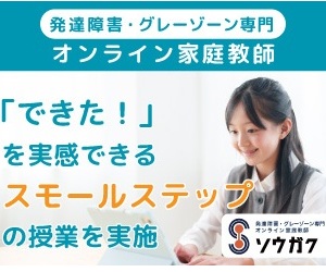 発達障害・グレーゾーン専門オンライン家庭教師ソウガク。「できた！」を実感できるスモールステップの授業を実施
